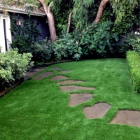 Outdoor Carpet Lake of the Woods, Arizona Landscape Design, Backyard Landscaping Ideas