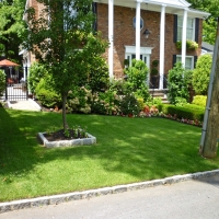 Outdoor Carpet Saint David, Arizona Rooftop, Front Yard Design