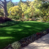 Plastic Grass Ali Chukson, Arizona Roof Top, Backyard Makeover