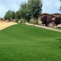 Plastic Grass Drexel Heights, Arizona Landscaping Business, Front Yard