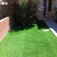 Plastic Grass Hackberry, Arizona Backyard Playground, Small Front Yard Landscaping