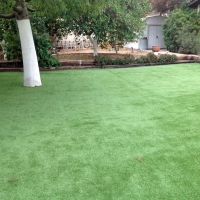 Plastic Grass Scottsdale, Arizona Landscaping, Backyard Landscaping