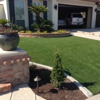 Plastic Grass Spring Valley, Arizona Landscape Ideas, Front Yard Landscaping Ideas