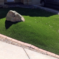 Synthetic Grass Cost Pine, Arizona Lawn And Garden