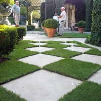 Synthetic Grass San Miguel, Arizona Landscaping Business, Pavers