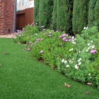 Synthetic Grass Shungopavi, Arizona Landscape Photos, Front Yard Ideas