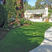 Synthetic Lawn Mountainaire, Arizona Garden Ideas, Commercial Landscape