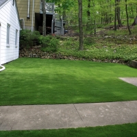 Synthetic Lawn Patagonia, Arizona Rooftop, Front Yard Ideas