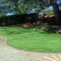 Synthetic Turf Cedar Creek, Arizona Roof Top, Backyard Garden Ideas