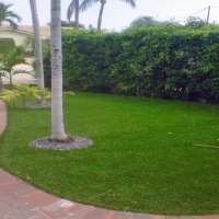 Synthetic Turf Cienega Springs, Arizona Rooftop, Front Yard Ideas