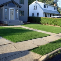 Synthetic Turf Supplier Oatman, Arizona City Landscape, Front Yard