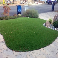 Synthetic Turf Supplier Taylor, Arizona Home And Garden