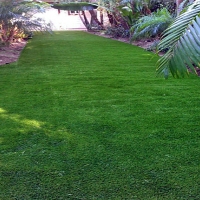 Turf Grass Springerville, Arizona Lawns, Backyard Ideas