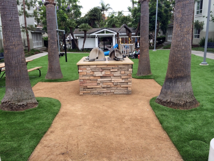 Artificial Turf Cost Wilhoit, Arizona, Commercial Landscape