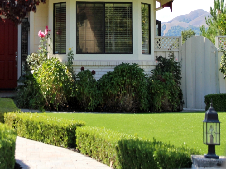 Artificial Turf Cost Winkelman, Arizona Landscaping Business, Front Yard