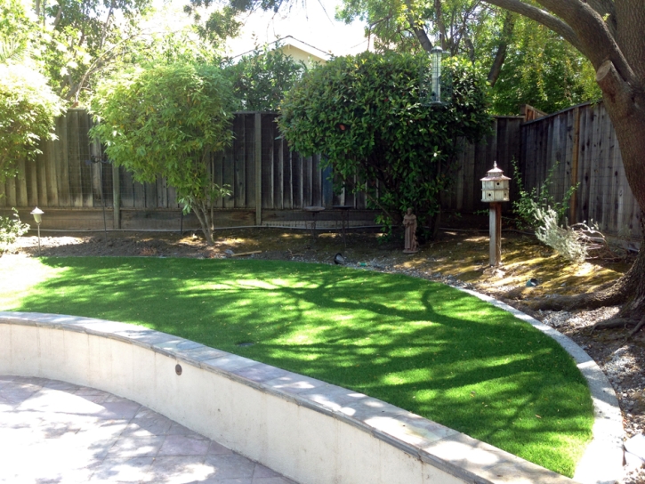 Best Artificial Grass Cottonwood, Arizona Landscape Ideas, Commercial Landscape