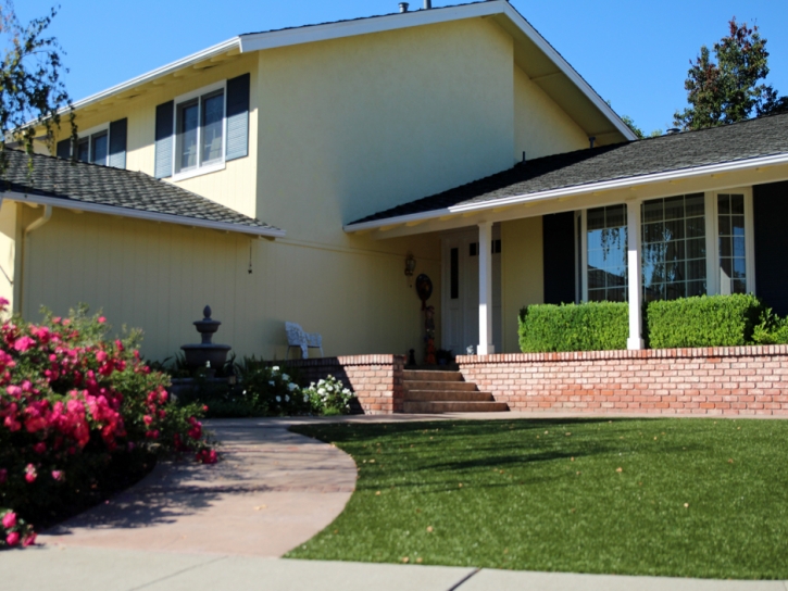 Fake Grass Carpet New River, Arizona City Landscape, Front Yard Landscape Ideas