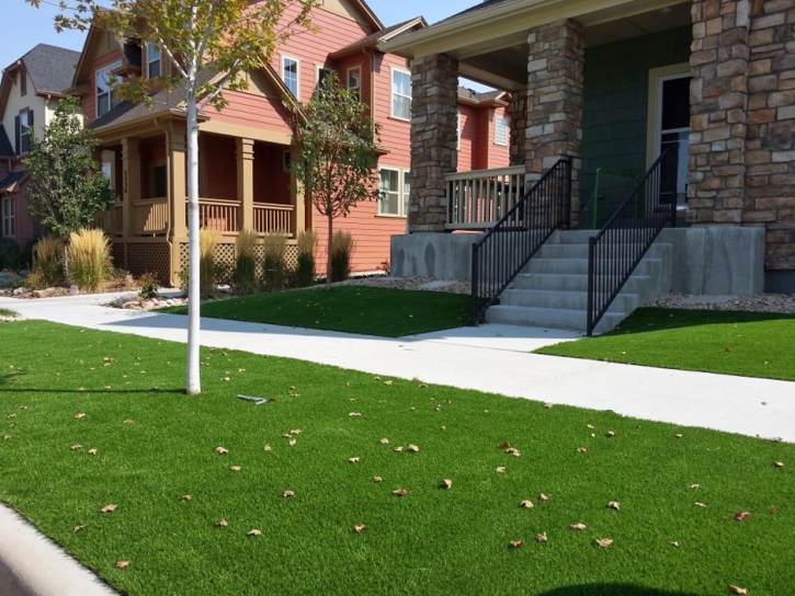 Fake Grass Citrus Park, Arizona Roof Top, Front Yard Ideas