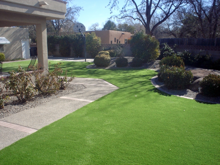 Fake Grass Vaiva Vo, Arizona Landscape Rock, Front Yard Ideas