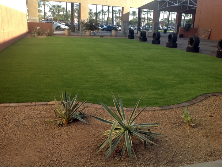 Fake Lawn Gold Camp, Arizona Lawn And Garden, Commercial Landscape