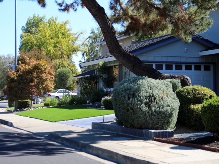 Fake Turf Rio Verde, Arizona Backyard Deck Ideas, Landscaping Ideas For Front Yard