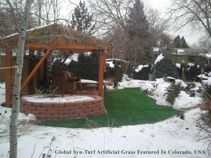 Grass Carpet Gilbert, Arizona Rooftop, Backyard Landscaping Ideas