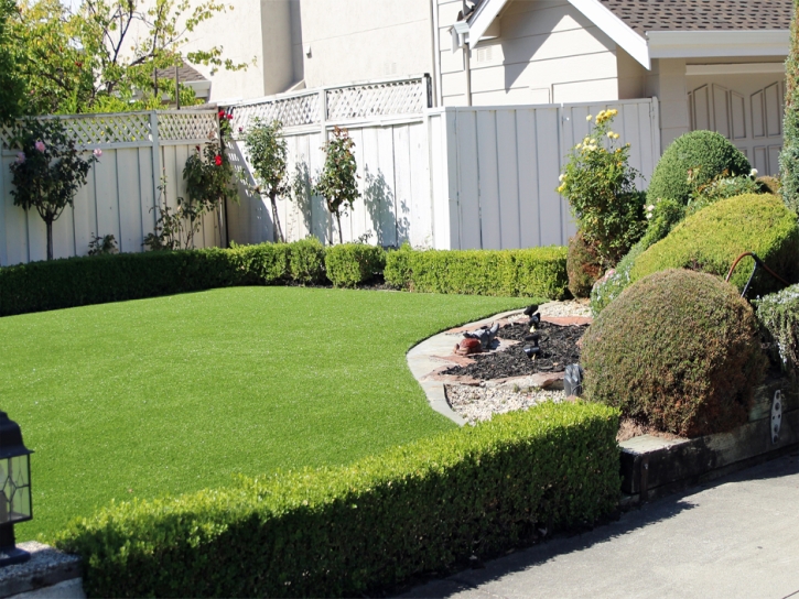 Grass Installation Arivaca, Arizona Gardeners, Front Yard Landscape Ideas