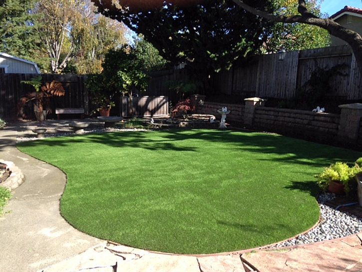 Outdoor Carpet Tsaile, Arizona Lawns, Backyard Makeover