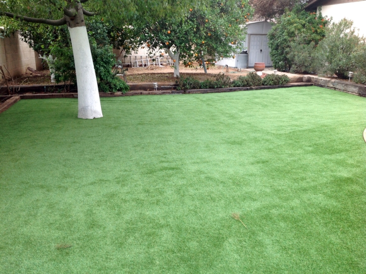 Plastic Grass Scottsdale, Arizona Landscaping, Backyard Landscaping