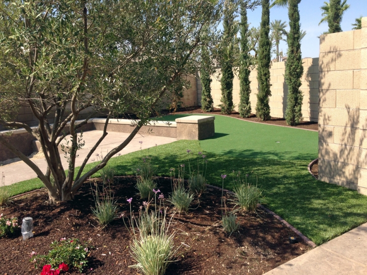 Synthetic Grass Cost Catalina, Arizona Paver Patio, Backyard Landscape Ideas