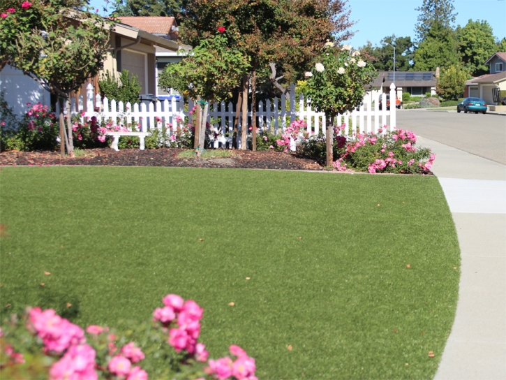 Synthetic Grass Tat Momoli, Arizona Landscape Design, Landscaping Ideas For Front Yard