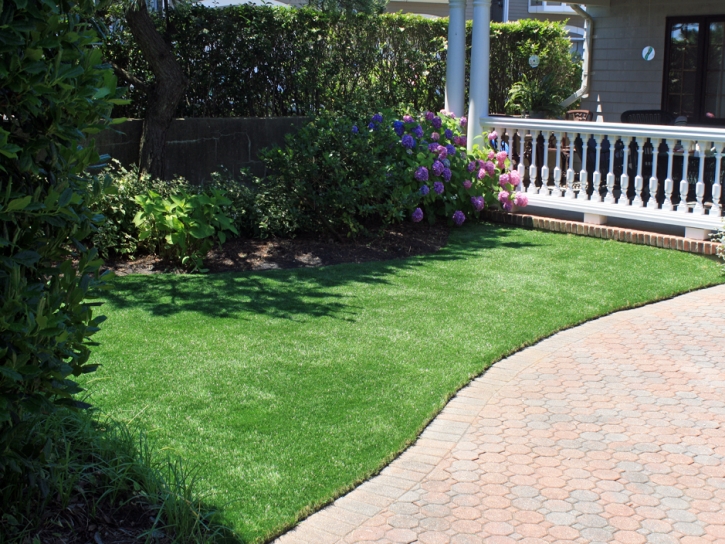 Synthetic Turf Chuichu, Arizona Lawns, Small Front Yard Landscaping