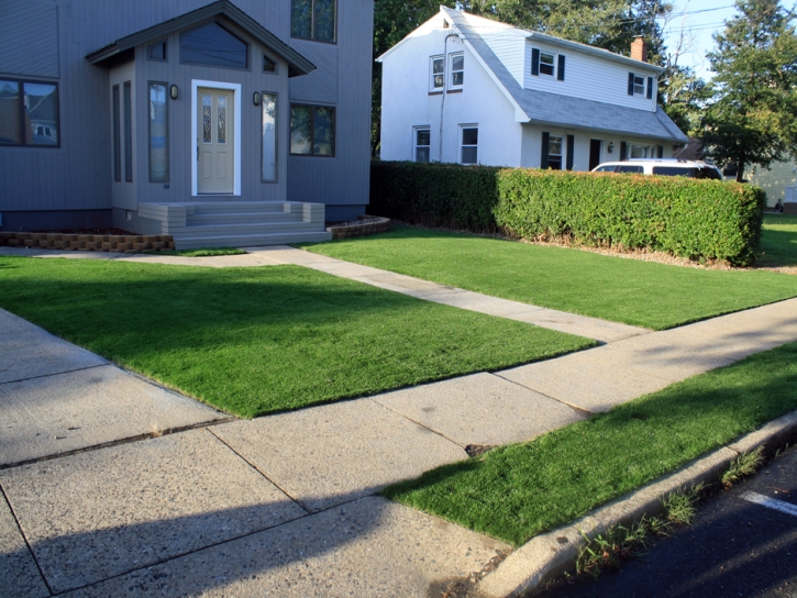 Synthetic Turf Supplier Oatman, Arizona City Landscape, Front Yard